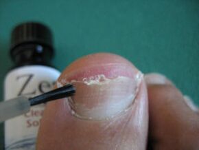 Applying varnish